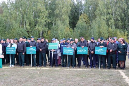 Саба урманчылыгында  үз  һөнәренең  осталары  ачыкланды