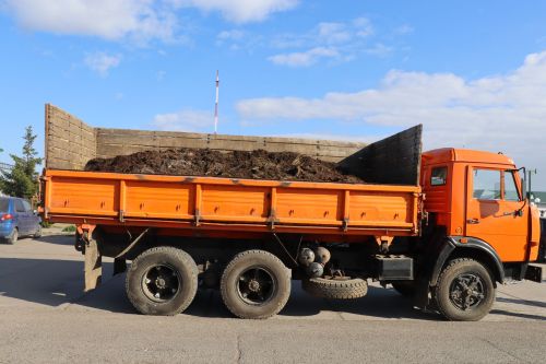 Күрше районнардан да килделәр