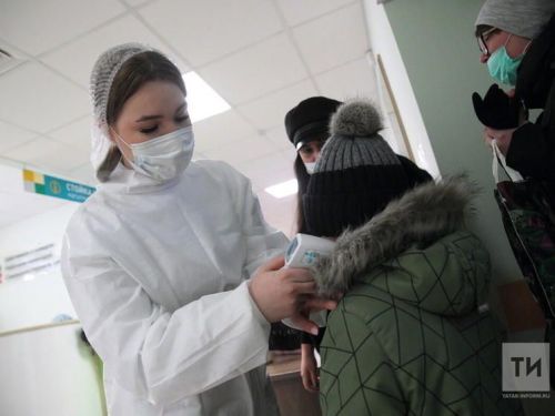Белгечләр кисәтә: Татарстанга  дуңгыз гриппы килде
