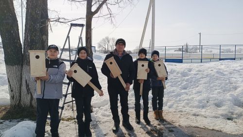 Тимершыкта сыерчыкларга яңа оялар куйдылар