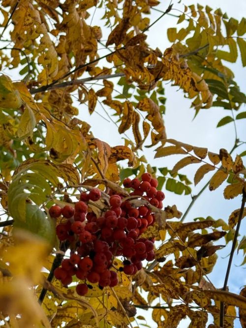 Бүген Сабада нинди һава торышы көтелә?
