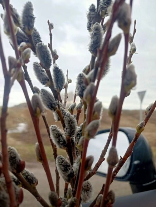 16 апрельгә синоптиклар нинди һава торышы вәгъдә итә?