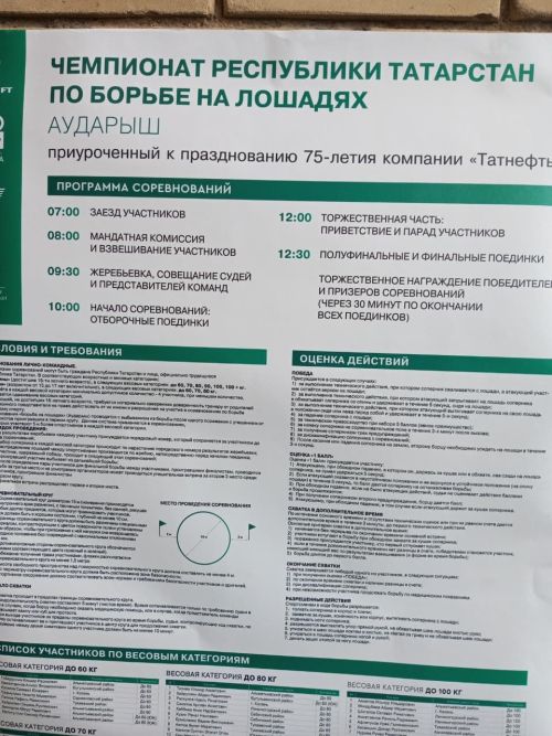 Әлмәттә  аударыш буенча Татарстан  чемпионаты булды