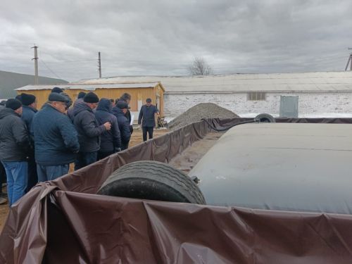 Ашланган җир һәм  сыйфатлы симәнә – мул уңышка нигез