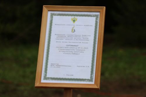 Сталинград тирәге  генетик хәтер булып Лесхозга  кайтты