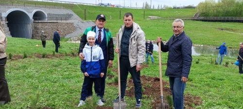 Бәйрәм көнне «Ямьле Саба» яр буенда 140 төп агач утыртылды