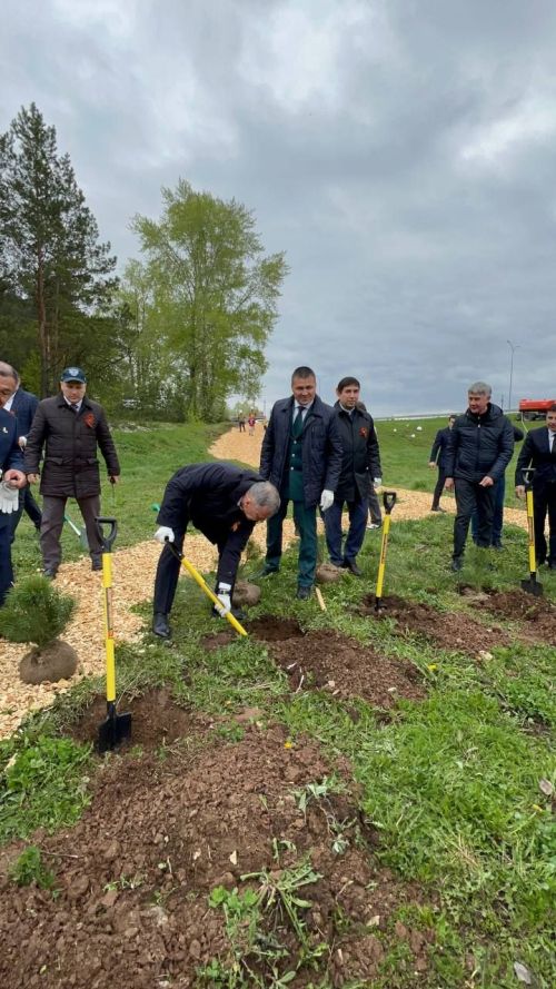 Бәйрәм көнне «Ямьле Саба» яр буенда 140 төп агач утыртылды