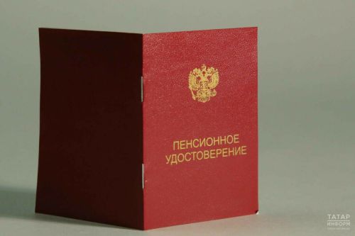 Туендыручысын югалту буенча дәүләт пенсиясе кемнәргә билгеләнүе турында сөйләделәр