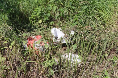Болынга әйләнгән җирләрне хәзердән үк эшкәртергә кирәк, диләр авыл хуҗалыгы белгечләре