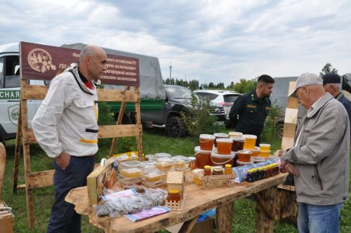 “Балның файдасын аңлап бетерсәләр, конфет янына якын бармаслар иде”