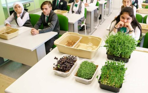 Быел Татарстанда 35 мәктәптә 60 агросыйныф ачылачак