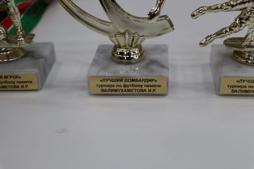 Сабаның «Алтын туп» универсал  спорт залында Илмир Рушан улы Вәлимөхәммәтов истәлегенә багышланган мини-футбол буенча турнир узды