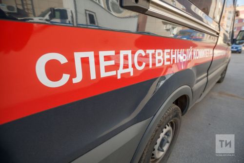 Татарстанның бер районында коеда ике баланың гәүдәсен тапканнар