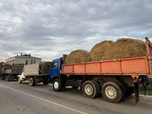 Бүген Сабада көзге  авыл хуҗалыгы ярминкәсе уза