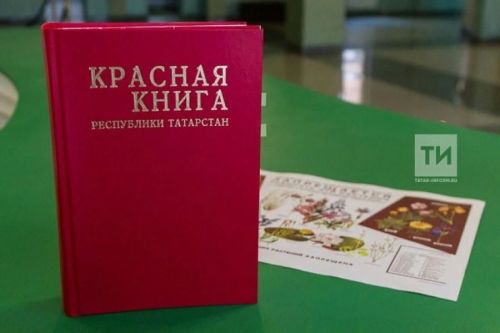 Табигатьне саклауда тарихи адым: Татарстанда беренче Кызыл китапны ике телдә яңадан бастыру эше тәмамланды