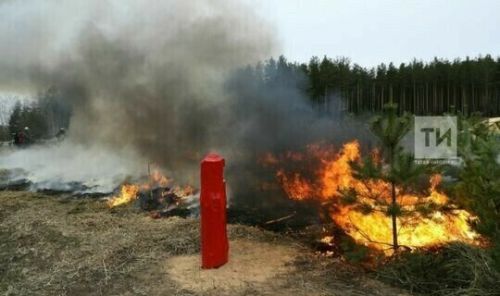 Татарстанда 25 апрельдән янгынга каршы махсус режим кертү планлаштырыла