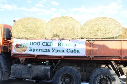 Быел  халык  ярминкәгә мәдәният йорты  каршындагы  мәйданга  чыкты
