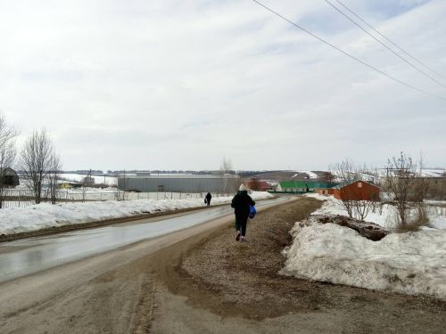 Тимершык авыл җирлеге  территориясендә өмәләр үткәрү матур традициягә әйләнде