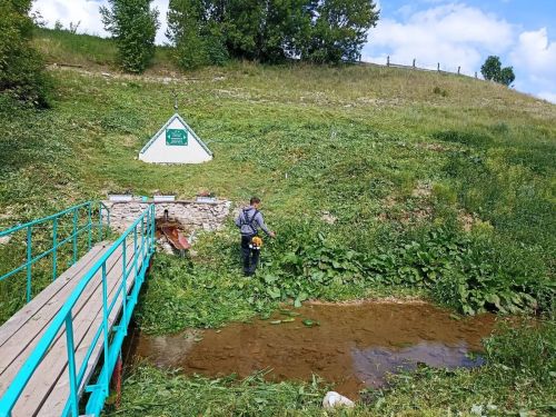 Югары Симет авыл җирлеге территориясендә үлән чабу