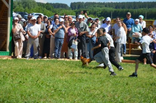 Тауга  каршы  йөгерү, тимер атка  атлану, пленка эченнән мүкәләү – болар барысы да Иләбәр  Сабантуенда гына