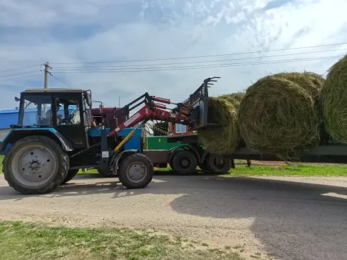 «Игенче» җаваплылыгы чикләнгән җәмгыяте  үз хезмәткәрләрен печән белән тәэмин итте/фоторепортаж