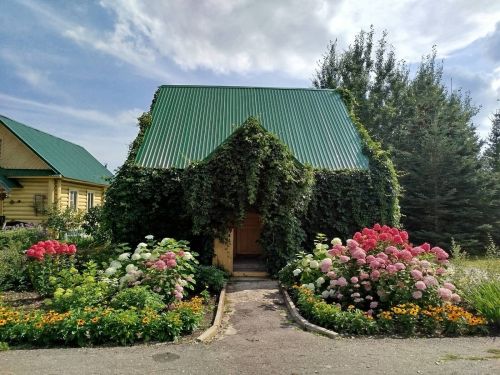 Лесхоз бистәсенең дендрология бакчасында чәчәк әкияте/фоторепортаж
