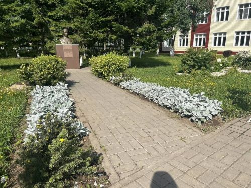 Чәчәкләр дөньясында сәяхәт: Саба гимназиясендә купшы бакча барлыкка килде