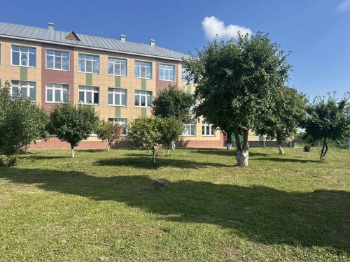Чәчәкләр дөньясында сәяхәт: Саба гимназиясендә купшы бакча барлыкка килде