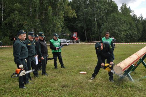 Равил Кузюров:  ”Саба урманчылары әйдәүчеләр сафында”/фоторепортаж
