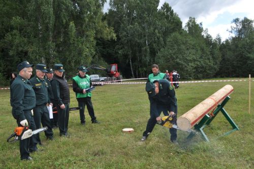 Равил Кузюров:  ”Саба урманчылары әйдәүчеләр сафында”/фоторепортаж
