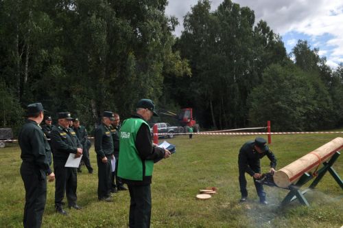 Равил Кузюров:  ”Саба урманчылары әйдәүчеләр сафында”/фоторепортаж