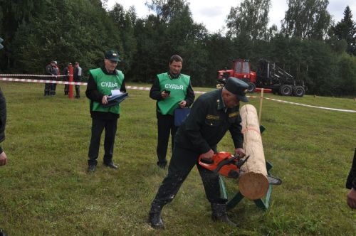 Равил Кузюров:  ”Саба урманчылары әйдәүчеләр сафында”/фоторепортаж