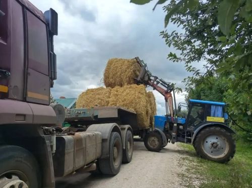 Терлек асраучыларга зур ярдәм: «Игенче» коллективына салам өләште