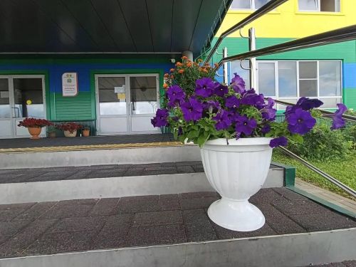 «Саба-Арена» территориясе гүзәллеккә күмелде: спорт комплексы янында зур чәчәк бакчасы барлыкка килде
