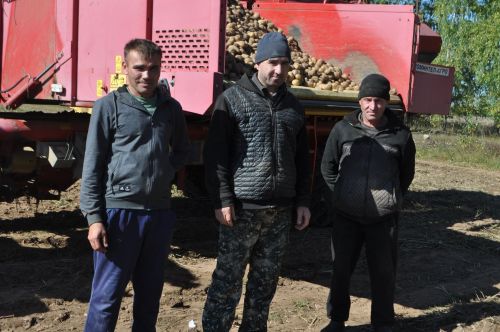 Басу хезмәт белән кайный: Фаяз Заһидуллинның «Гримме» комбайны көненә 5,5 гектар бәрәңге ала