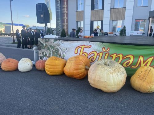 Сабада кабак патшалыгы: районның иң матур һәм оригиналь эшләнмәләреннән фоторепортаж