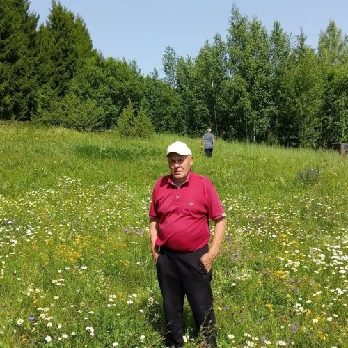 «Кисәк басыла, туктатып булмый»:  Халит Гатиятуллинның 16 мең язылучылы блогы  турында сөйләде