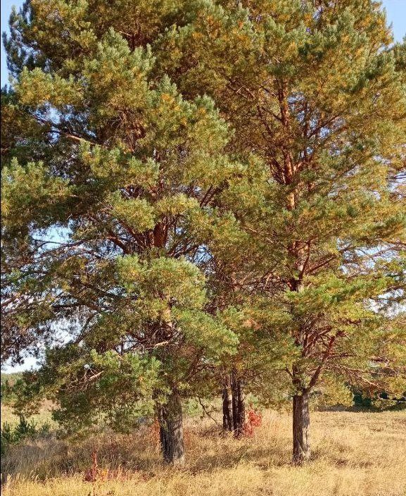 18 сентябрьгә һава торышы