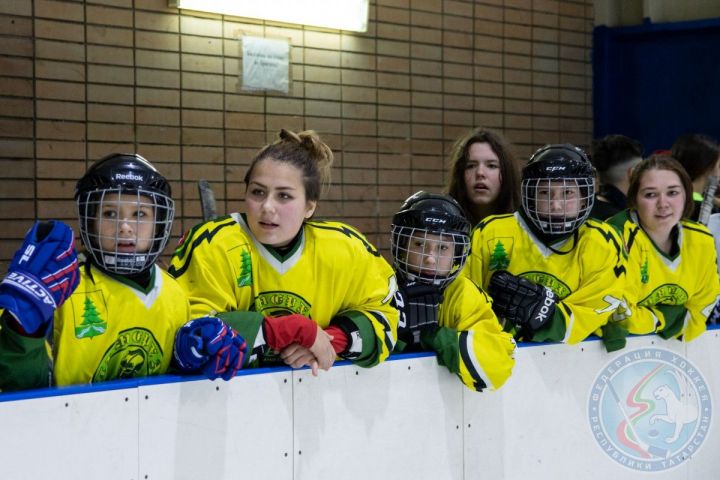 Фестиваль по хоккею среди команд девочек, посвященный Всемирному дню хоккея для девушек в городе Азнакаево