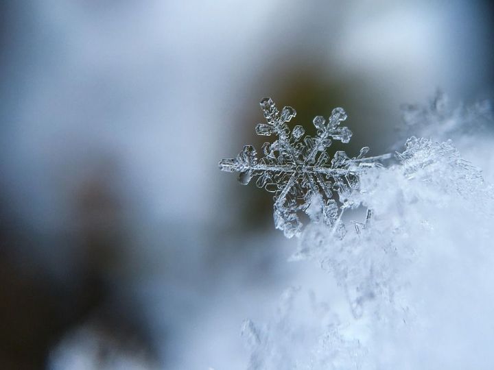 Табиблар салкында үз-үзеңне тоту кагыйдәләре турында искәртә