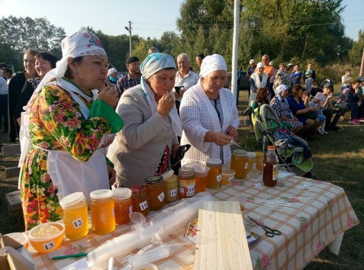 ПЧЕЛОТУЙ