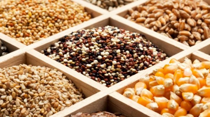 АгроСемЭксперт поможет аграриям найти подходящую партию семян для закупки или разместить свои предложения по их поставке