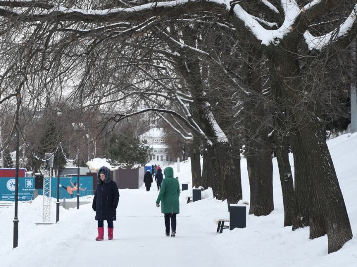 11 февраля температура воздуха составит 3-5 градусов ниже нуля