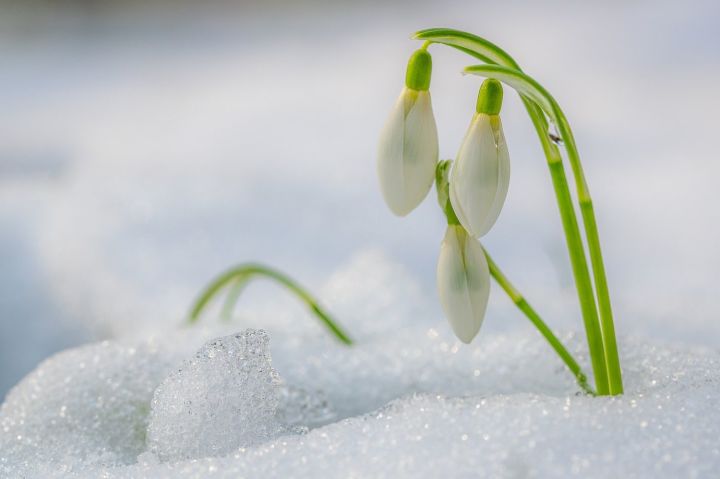 Апрельнең беренче көннәрендә +10 градус җылы булачак