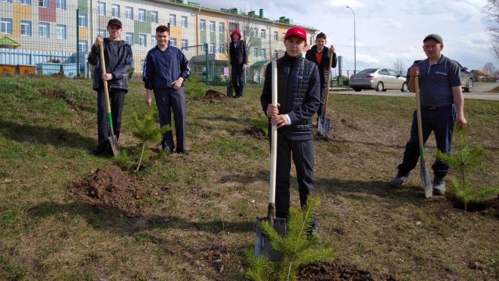 Тимершык авыл җирлегендә агачлар утырту эшләре алып барылды