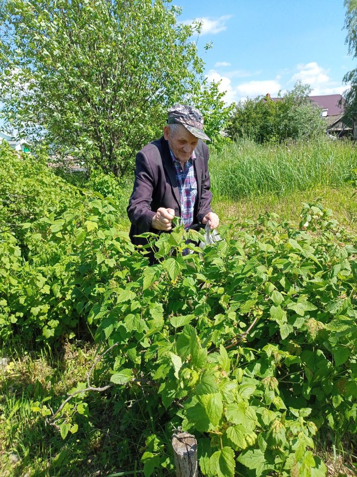 Лесхоз картлар һәм инвалидлар йортында тәрбияләнүчеләр дару үләннәре җыйды