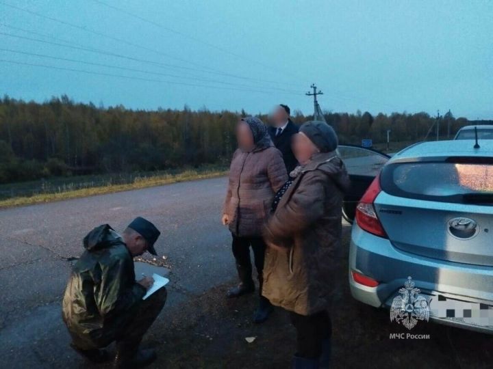 Татарстанда өч гөмбәче адашкан