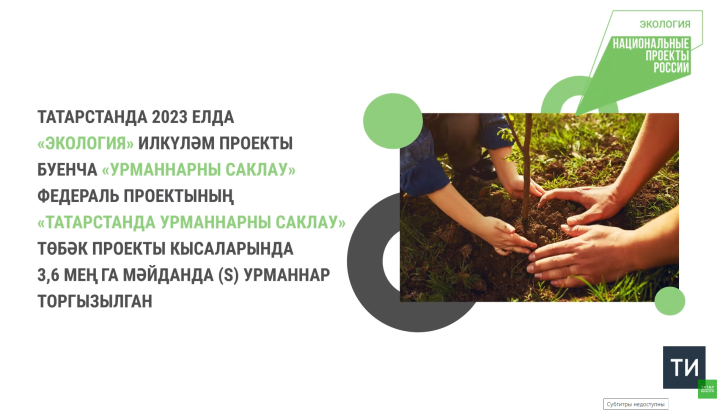 Татарстанда 2023 елда илкүләм проект буенча 3,6 мең гектар урманнар торгызылган