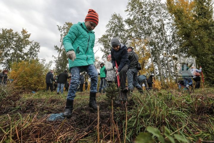 Татарстанда балаларга талпаннар һөҗүм итә башлаган