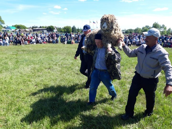 Олы Кибәчедә татарча көрәштә абсолют батыр булып Язнур Гарипов калды